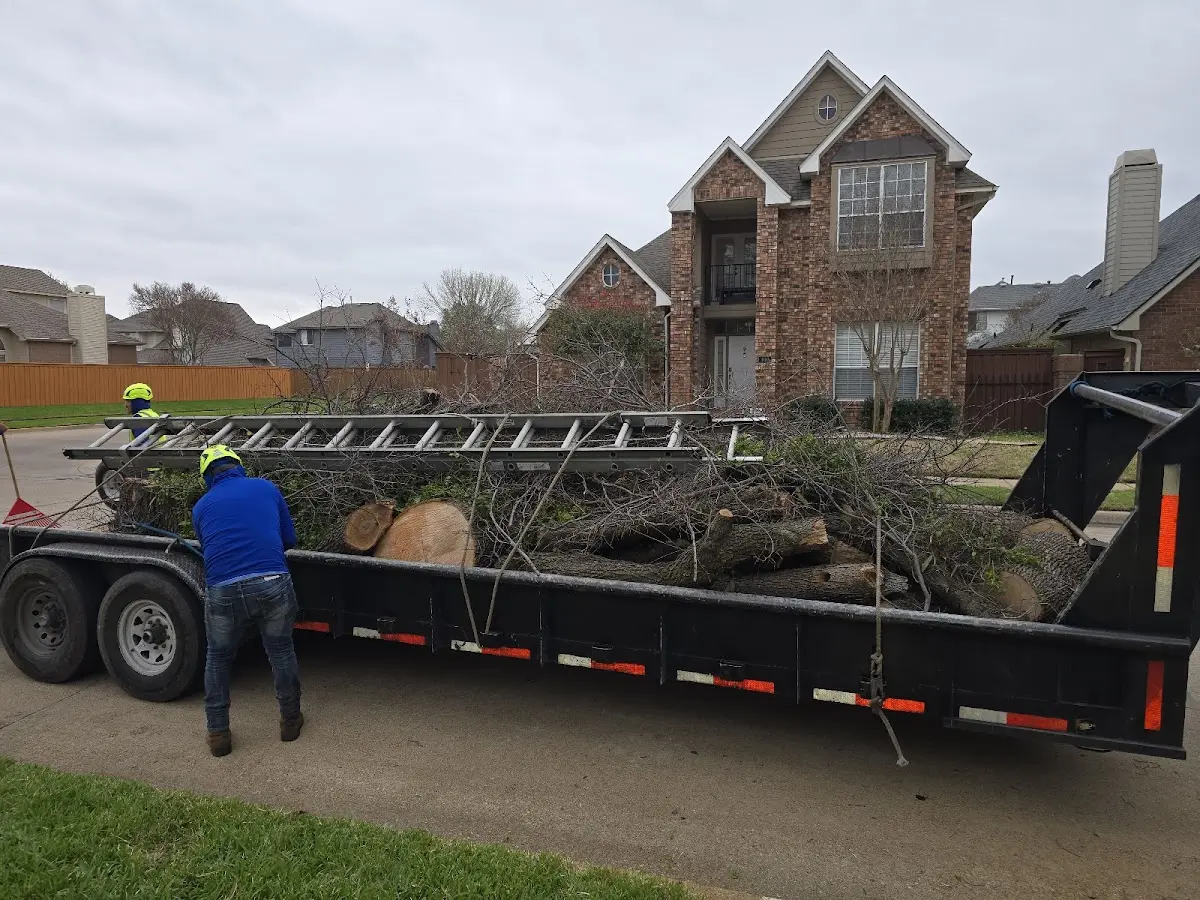 Expert Lot Clearing with proper safety equipment in Gerlaw